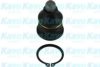 KAVO PARTS SBJ-6505 Ball Joint